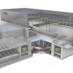 Startupper o imprenditori? Il bivio culturale del capitalismo italiano