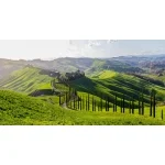 Ospedali sotto stress durante le feste natalizie, mancano infermieri e medici