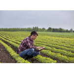 Gaza, il board di Trump in campo per il dopoguerra