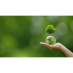 Fondazione Mps, se a Siena si nerbano alla mossa arriva il fantino straniero