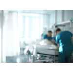 Per Sechi non è vero che la sicurezza non ha un colore politico