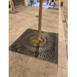 Quando il potere è senza regole: il caso Trump