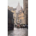 La Bistecca cerca la tutela europea mentre la dissacrano proprio a Firenze