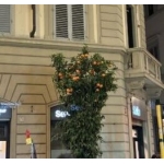 A Prato tutti in televisione, in città saranno installate 101 nuove telecamere