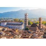 Il Palio si difende con le regole e le consuetudini